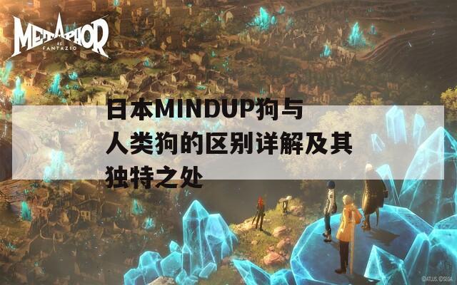 日本MINDUP狗与人类狗的区别详解及其独特之处