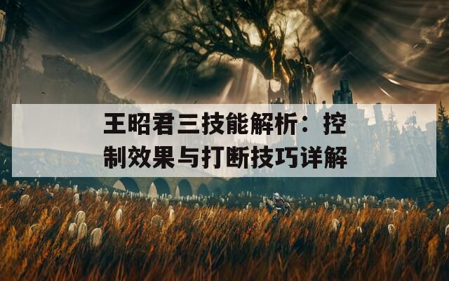 王昭君三技能解析：控制效果与打断技巧详解