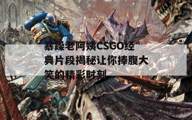 暴躁老阿姨CSGO经典片段揭秘让你捧腹大笑的精彩时刻