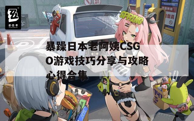 暴躁日本老阿姨CSGO游戏技巧分享与攻略心得合集