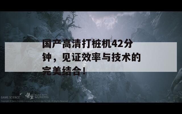 国产高清打桩机42分钟，见证效率与技术的完美结合！