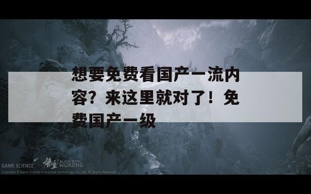 想要免费看国产一流内容？来这里就对了！免费国产一级