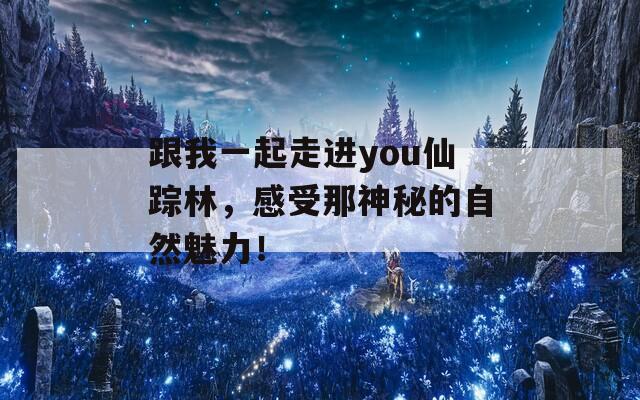 跟我一起走进you仙踪林，感受那神秘的自然魅力！