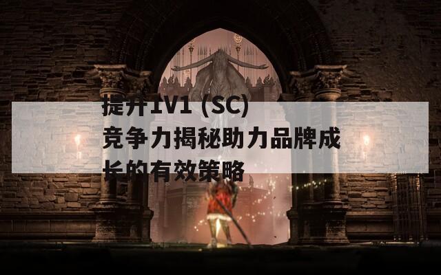 提升1V1 (SC)竞争力揭秘助力品牌成长的有效策略