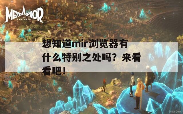 想知道mir浏览器有什么特别之处吗？来看看吧！