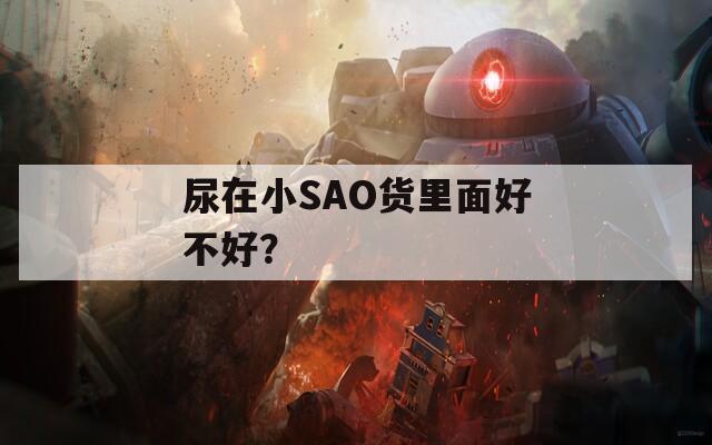 尿在小SAO货里面好不好？