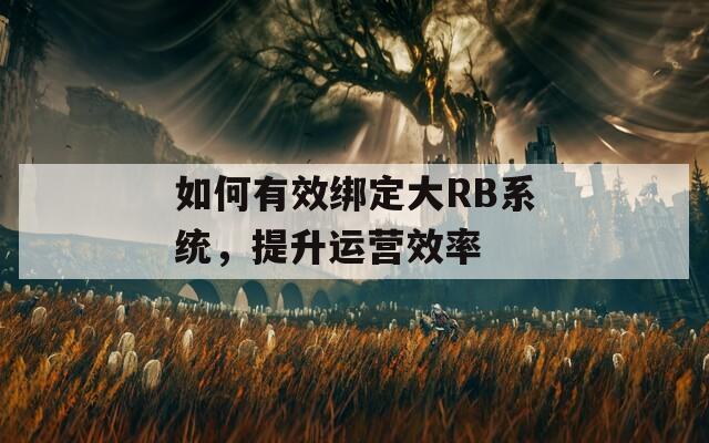 如何有效绑定大RB系统，提升运营效率