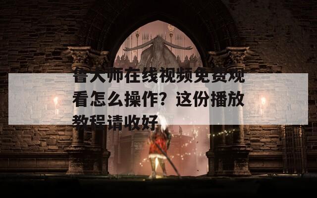 鲁大师在线视频免费观看怎么操作？这份播放教程请收好