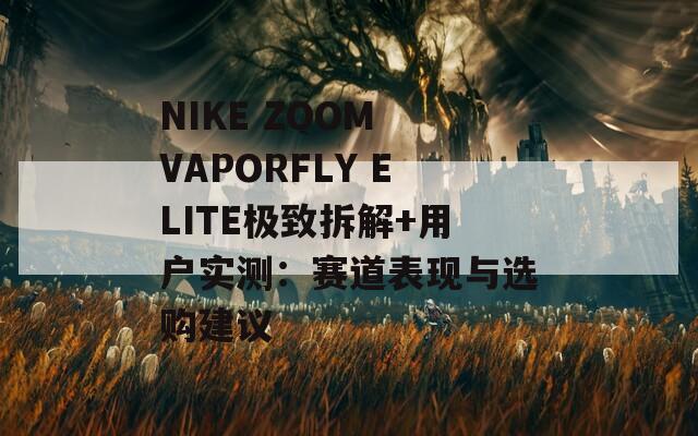 NIKE ZOOM VAPORFLY ELITE极致拆解+用户实测：赛道表现与选购建议