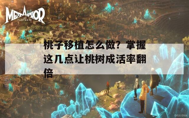 桃子移植怎么做？掌握这几点让桃树成活率翻倍