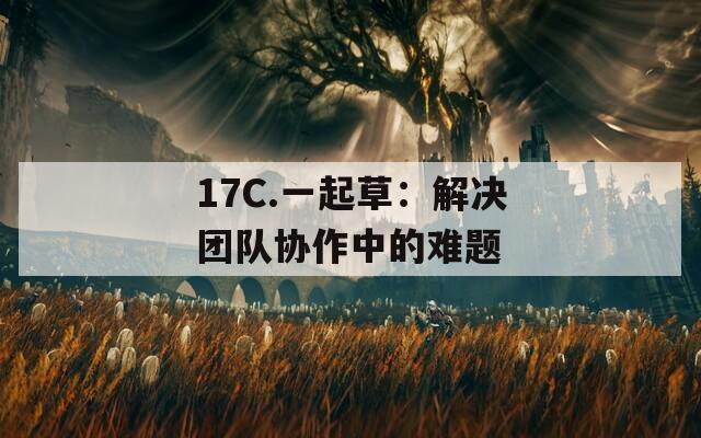 17C.一起草：解决团队协作中的难题