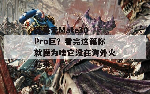 欧美无Mate30 Pro巨？看完这篇你就懂为啥它没在海外火起来