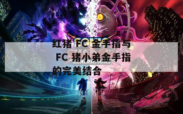 红猪 FC 金手指与 FC 猪小弟金手指的完美结合