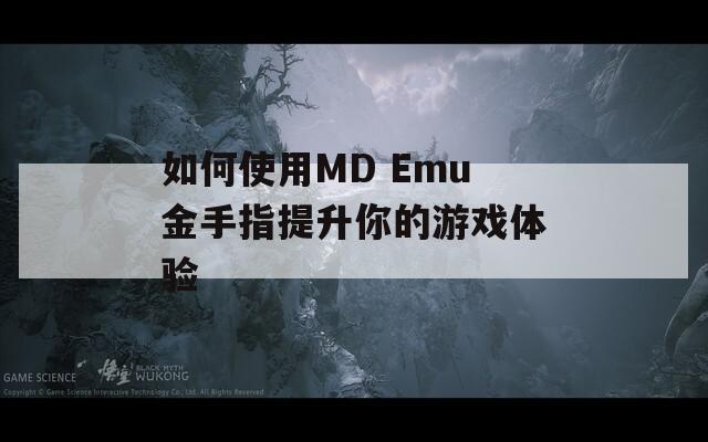 如何使用MD Emu金手指提升你的游戏体验