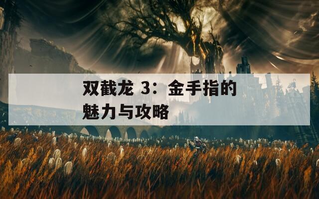 双截龙 3：金手指的魅力与攻略