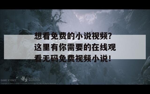 想看免费的小说视频？这里有你需要的在线观看无码免费视频小说！