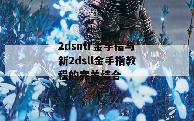 2dsntr金手指与新2dsll金手指教程的完美结合