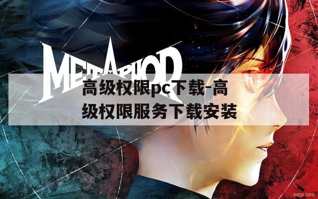 高级权限pc下载-高级权限服务下载安装