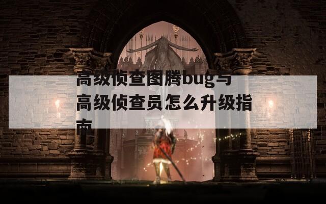 高级侦查图腾bug与高级侦查员怎么升级指南