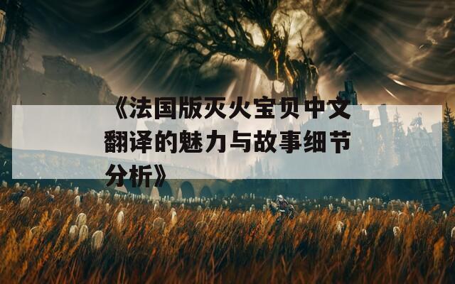 《法国版灭火宝贝中文翻译的魅力与故事细节分析》