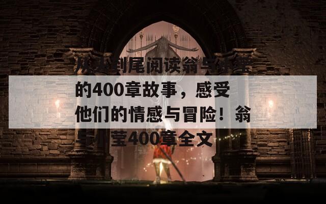 从头到尾阅读翁与小莹的400章故事，感受他们的情感与冒险！翁与小莹400章全文