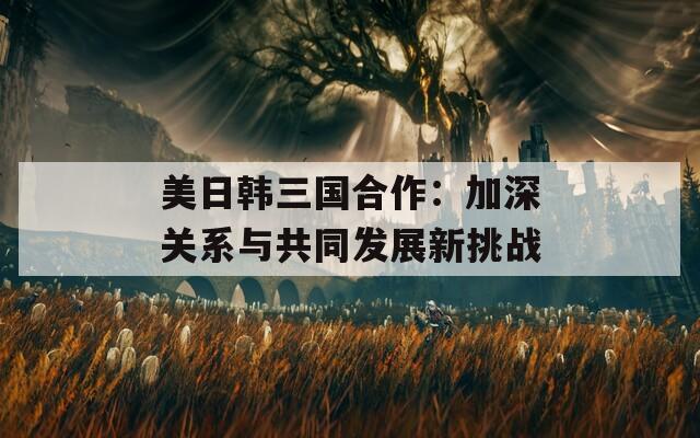 美日韩三国合作：加深关系与共同发展新挑战