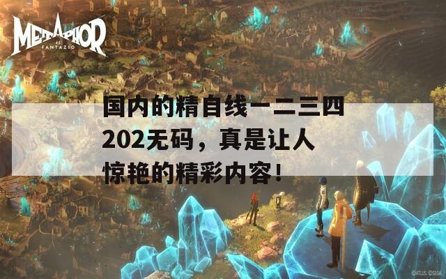 国内的精自线一二三四202无码，真是让人惊艳的精彩内容！