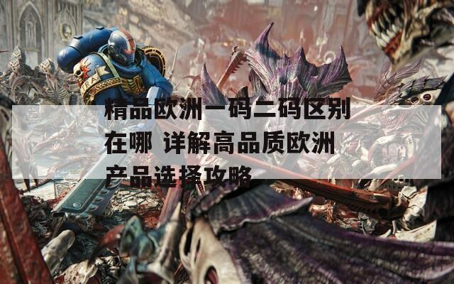 精品欧洲一码二码区别在哪 详解高品质欧洲产品选择攻略