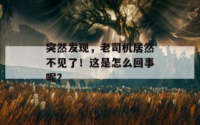 突然发现，老司机居然不见了！这是怎么回事呢？