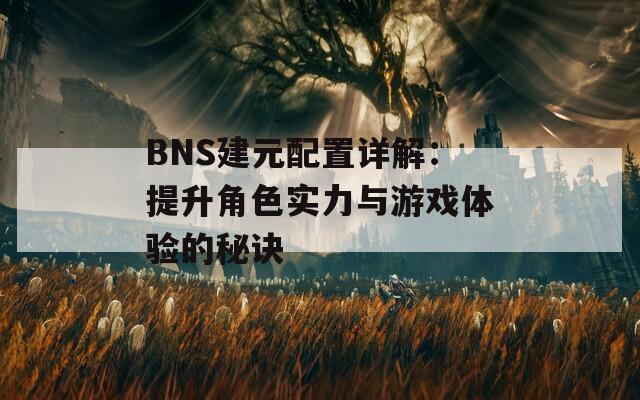 BNS建元配置详解：提升角色实力与游戏体验的秘诀