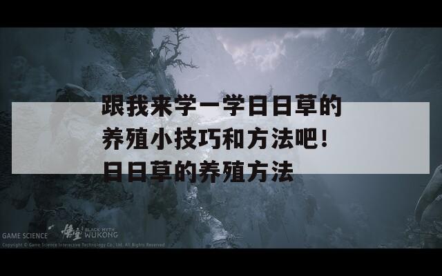 跟我来学一学日日草的养殖小技巧和方法吧！日日草的养殖方法