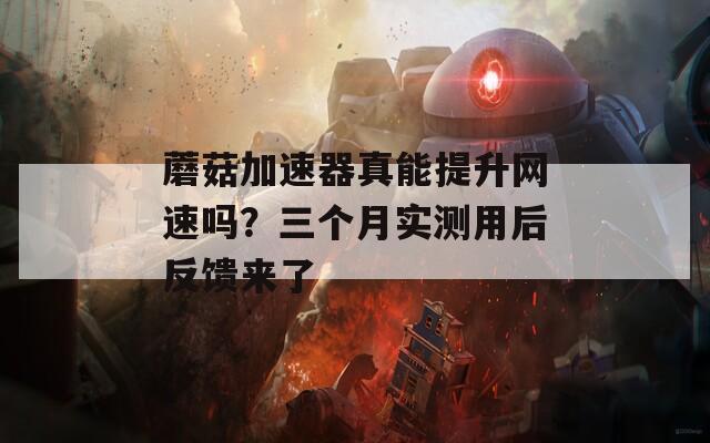 蘑菇加速器真能提升网速吗？三个月实测用后反馈来了