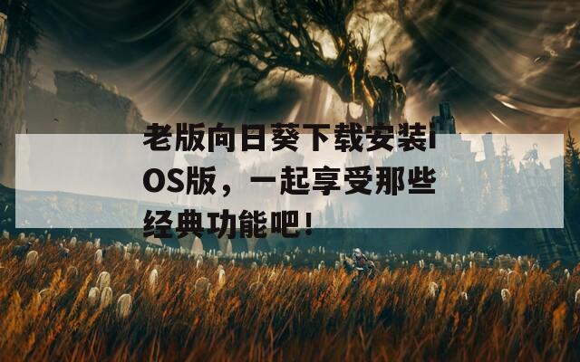 老版向日葵下载安装iOS版，一起享受那些经典功能吧！