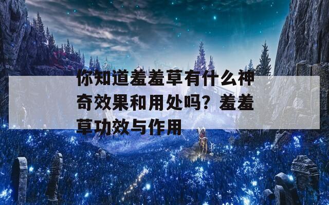 你知道羞羞草有什么神奇效果和用处吗？羞羞草功效与作用