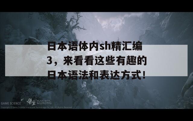 日本语体内sh精汇编3，来看看这些有趣的日本语法和表达方式！